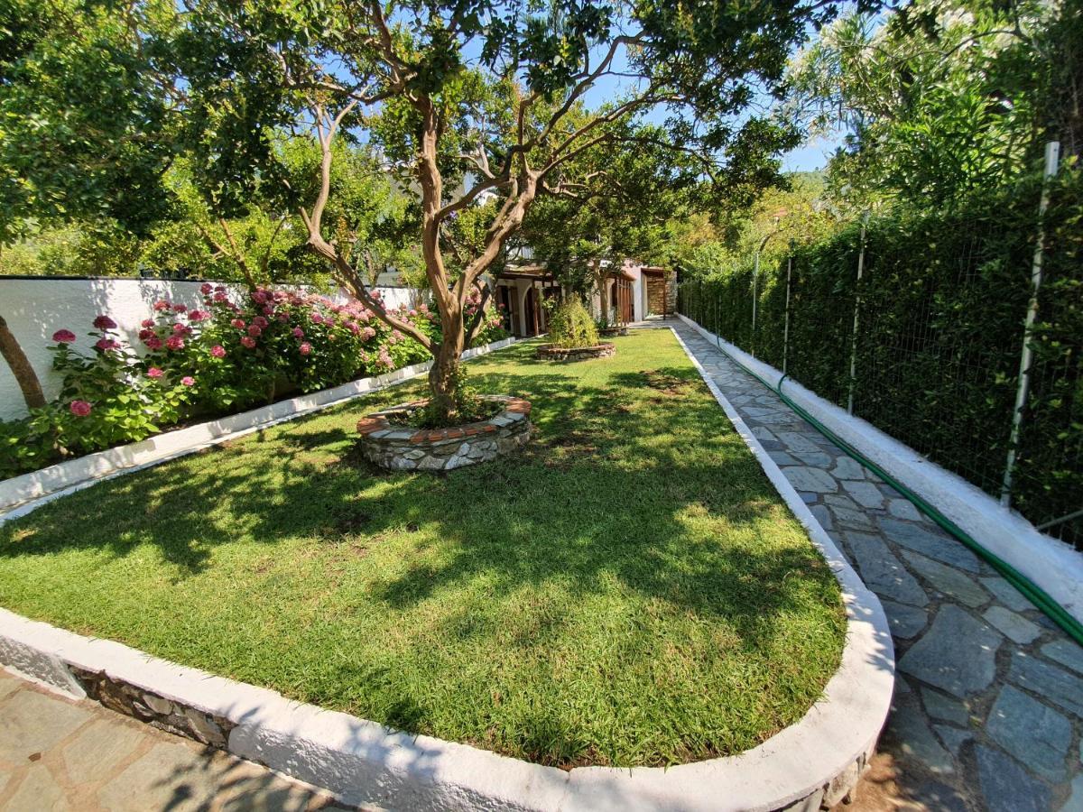 Dionisos Studios And Apts Skiathos Кукунарис Экстерьер фото