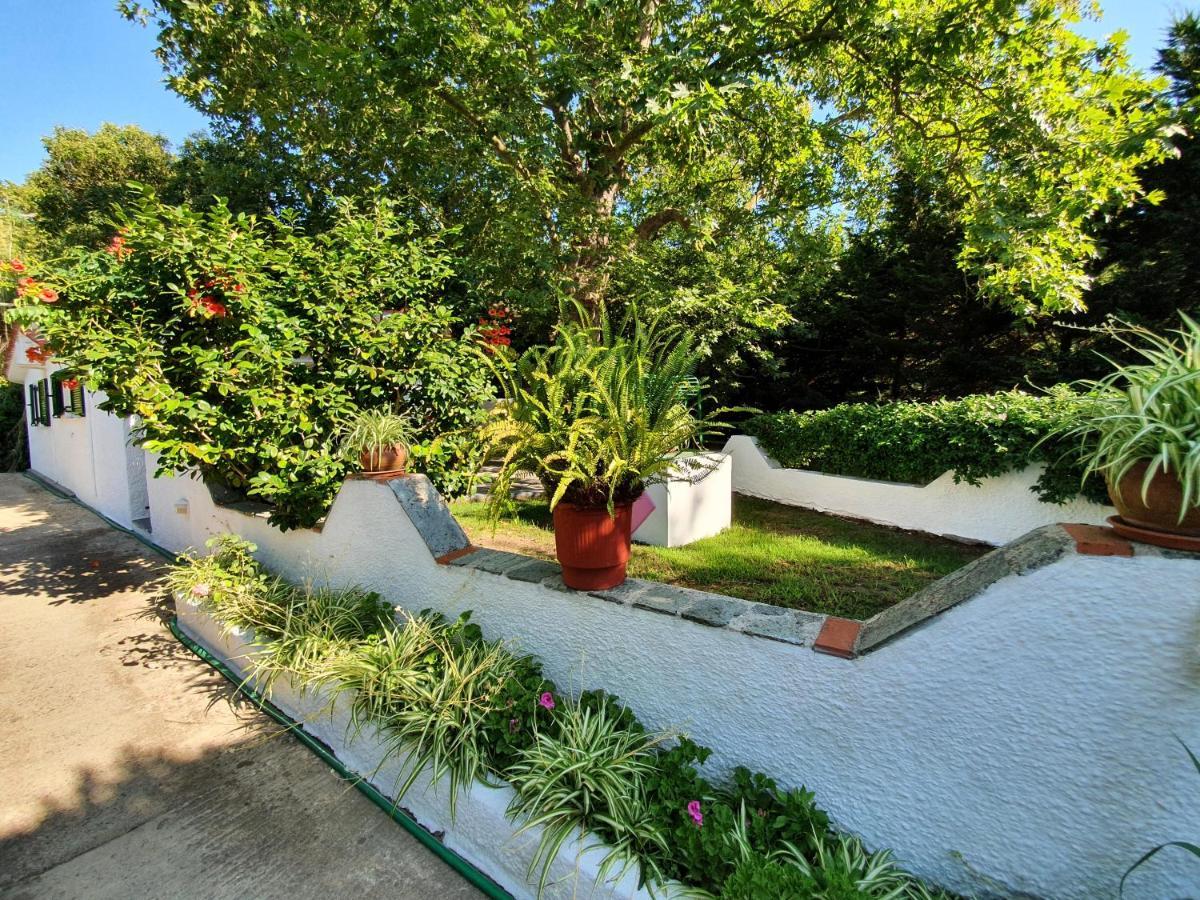 Dionisos Studios And Apts Skiathos Кукунарис Экстерьер фото